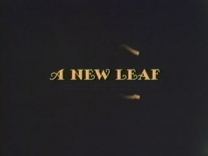a new leaf